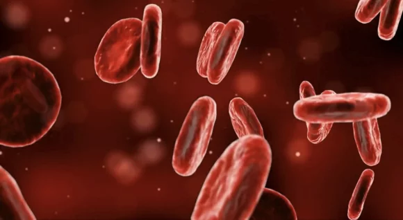 줄기세포 정맥주사 테라피