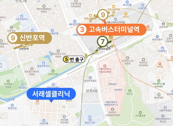 서래셀클리닉 위치