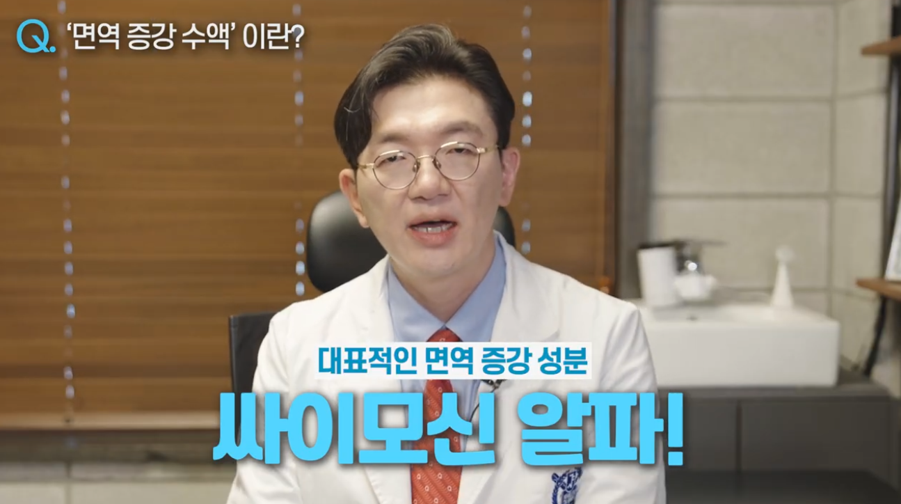 면역 균형